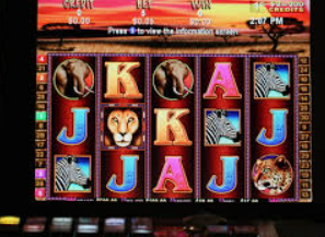 6686下载2024最新版